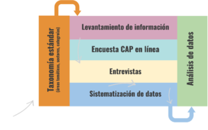 Proceso Mapeo de actores