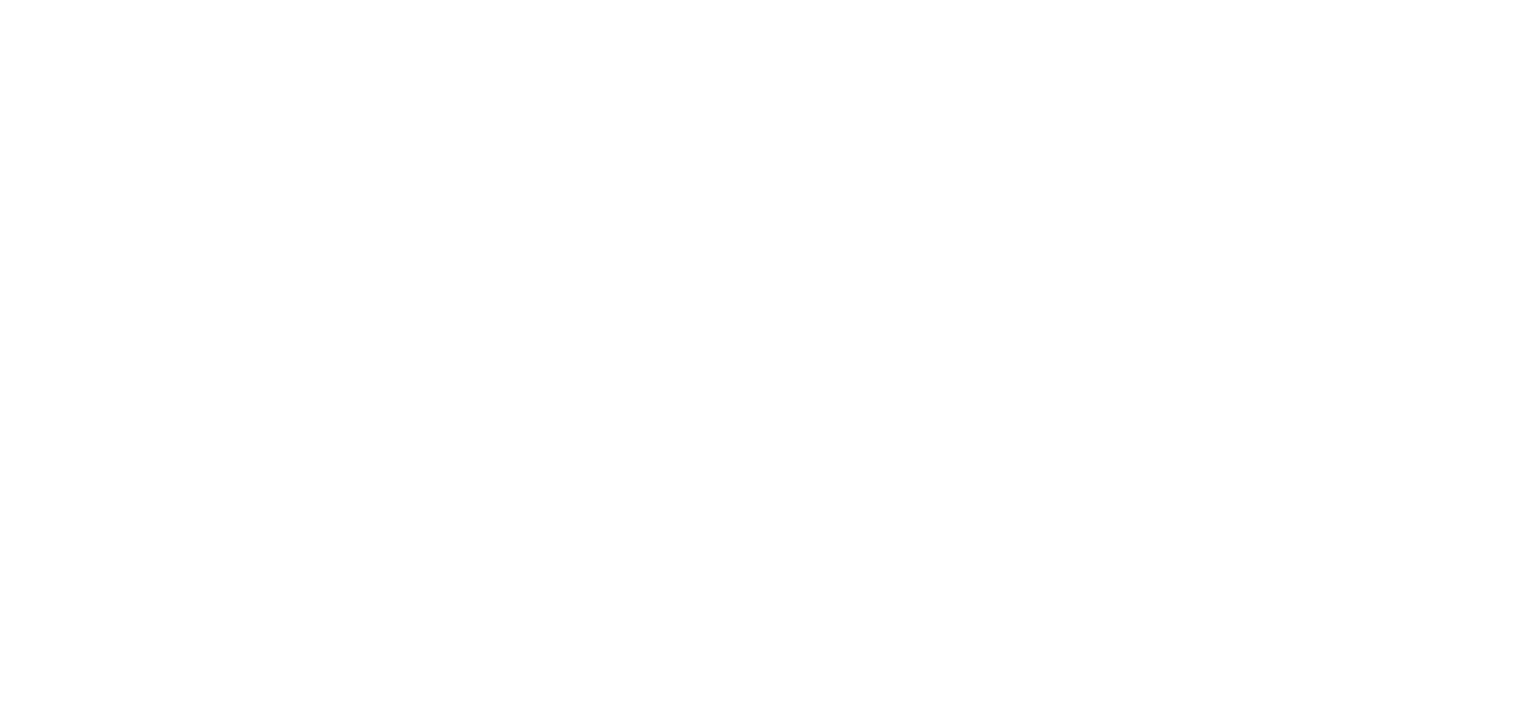 CognoPlus